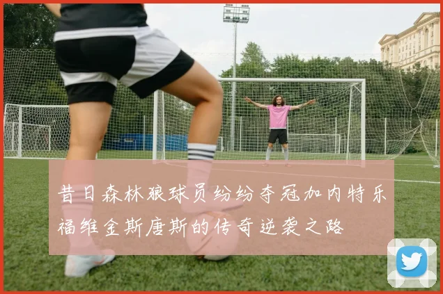 昔日森林狼球员纷纷夺冠加内特乐福维金斯唐斯的传奇逆袭之路