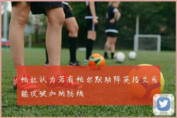 帕杜认为若有帕尔默助阵英格兰或能攻破加纳防线
