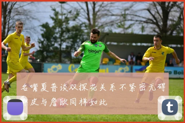 名嘴夏普谈双探花关系不紧密无碍乔皮与詹欧同样如此