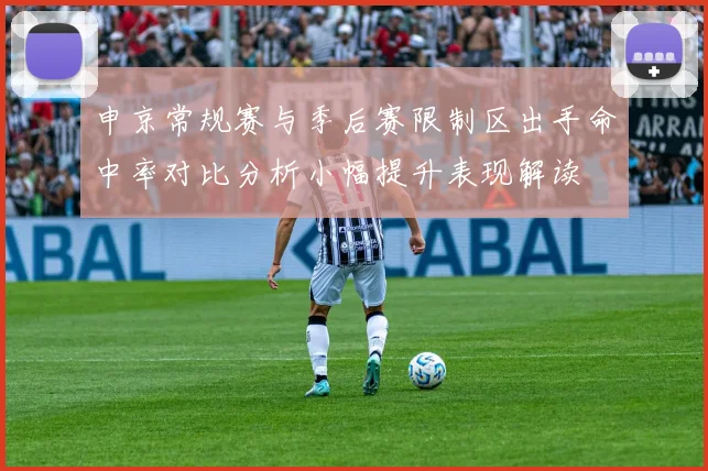 申京常规赛与季后赛限制区出手命中率对比分析小幅提升表现解读
